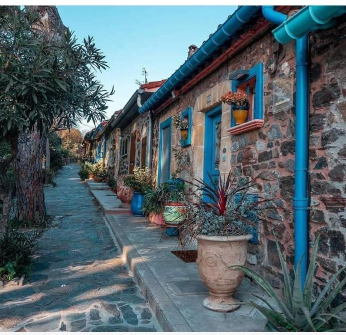 Ferienwohnung Las Tortoras Amélie-les-Bains-Palalda Exterior foto